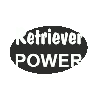 Golden Retriever Labrador Sticker by Hundesport Nubi