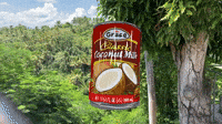 Coconut