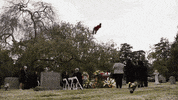 Holy Crap GIF by 9-1-1: Lone Star
