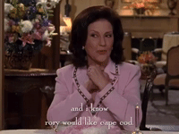 season 5 netflix GIF by Gilmore Girls 