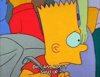 Season 1 GIF by The Simpsons