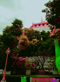 Life Adventure GIF by ellaknor