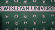 Iwuwvb24 GIF by iwusports