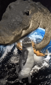 Crypto Dancing GIF