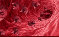 Blood Solana GIF