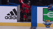 ice hockey GIF by NHL