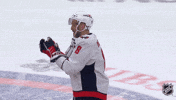 Happy Washington Capitals GIF by NHL