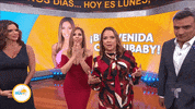 un nuevo dia und GIF by Telemundo