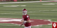Excited College Sports GIF by Indiana Hoosiers