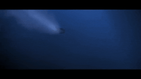 walterlhollmann giphygifmaker the hunt for red october GIF