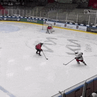 folketspuckhockeyklubb hockey tortugas hockey hit fphk tortugas GIF