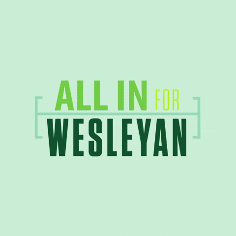 All In Titans GIF by Illinois Wesleyan University