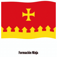 Flag Spain GIF by Formación Ninja