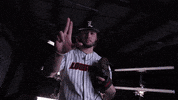 University Of Louisville Baseball GIF by Louisville Cardinals