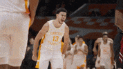 Tennessee Basketball Sport GIF by Tennessee Athletics