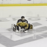 Ice Hockey Panthers GIF