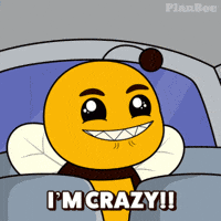 Im Crazy Plan B GIF by Plan Bee Studios