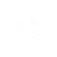 Flower 花 Sticker