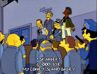 homer simpson GIF