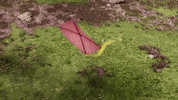 Kite GIF by Unreal Engine