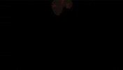 Glow Happy Hour GIF by Yolo Rum