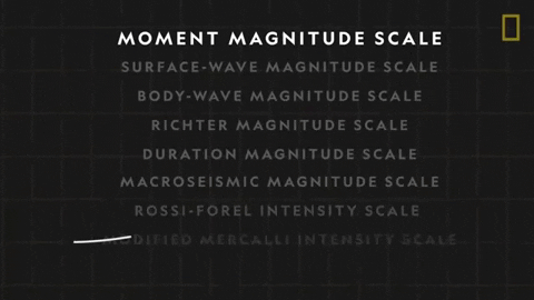 franz1 giphygifmaker scale mms quakes GIF