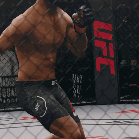 Ufc 3 Fight GIF by EA SPORTS UFC