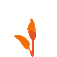 Plant Grow Sticker