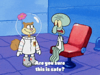 season 4 GIF by SpongeBob SquarePants