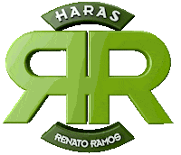 Harasrr Sticker by pesquisauto