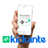 Crowdfunding Pix Sticker by Kickante