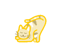 Cat Meowing Sticker by CuidaMiMascota