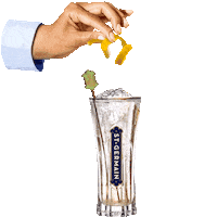 Drink Sante Sticker by ST~GERMAIN