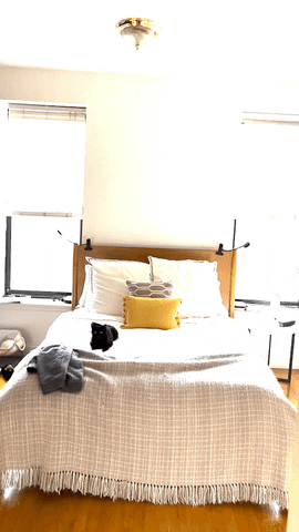 ericgrant22052cad2ab542d09e8b98f426474a75 giphyupload GIF