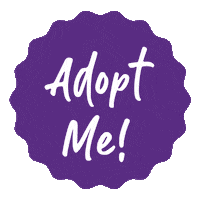 Foster Dog Adopt Me Sticker by Kazoo Pet
