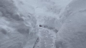 Several Feet of Snow Bury Nova Scotia After 'Massive' Winter Storm