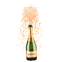 Celebrating San Diego Sticker by NOVA SD