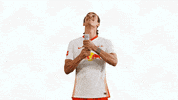 Red Bull Lol GIF by RB Leipzig
