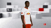 Posing Line Up GIF by Bundesliga