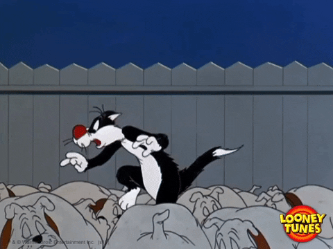 oh no wtf GIF by Looney Tunes