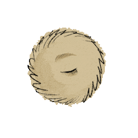 Eyes Sticker