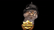 botardin cat streamer vtuber gatito GIF