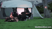 BlackBearDiner nature bear camping bears GIF