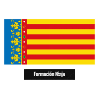 Comunidad Valenciana Flag Sticker by Formación Ninja