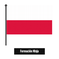 Poland Flag Sticker by Formación Ninja