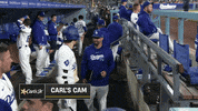 Major League Baseball Sport GIF by MLB