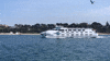 Summer Boat GIF by Searoad Ferries