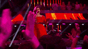 GIF by American Idol