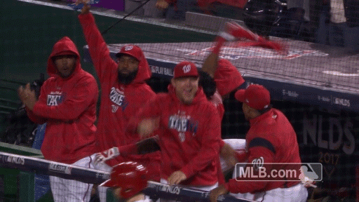 celebrates washington nationals GIF by MLB