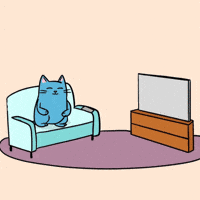 Blue Cat News GIF